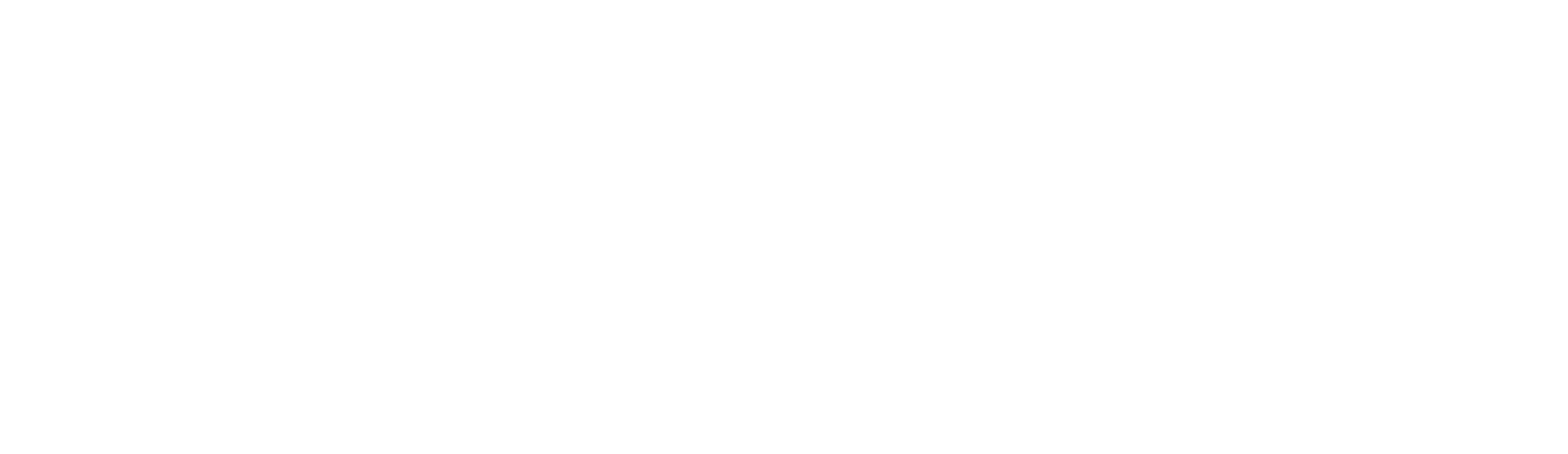 NDS-Records Schriftzug